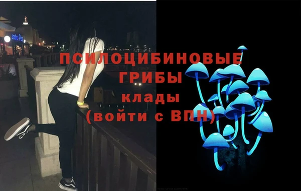 тгк Арсеньев
