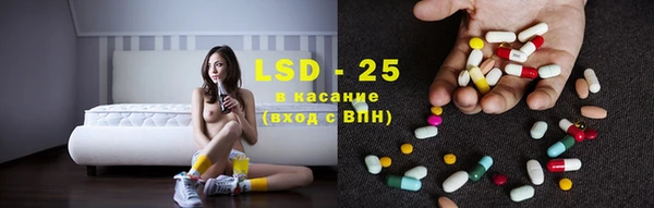 дживик Аркадак